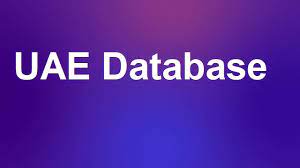 The Top Options for Buying a Database in the UAE